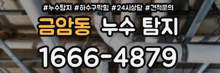 금암동 누수 탐지