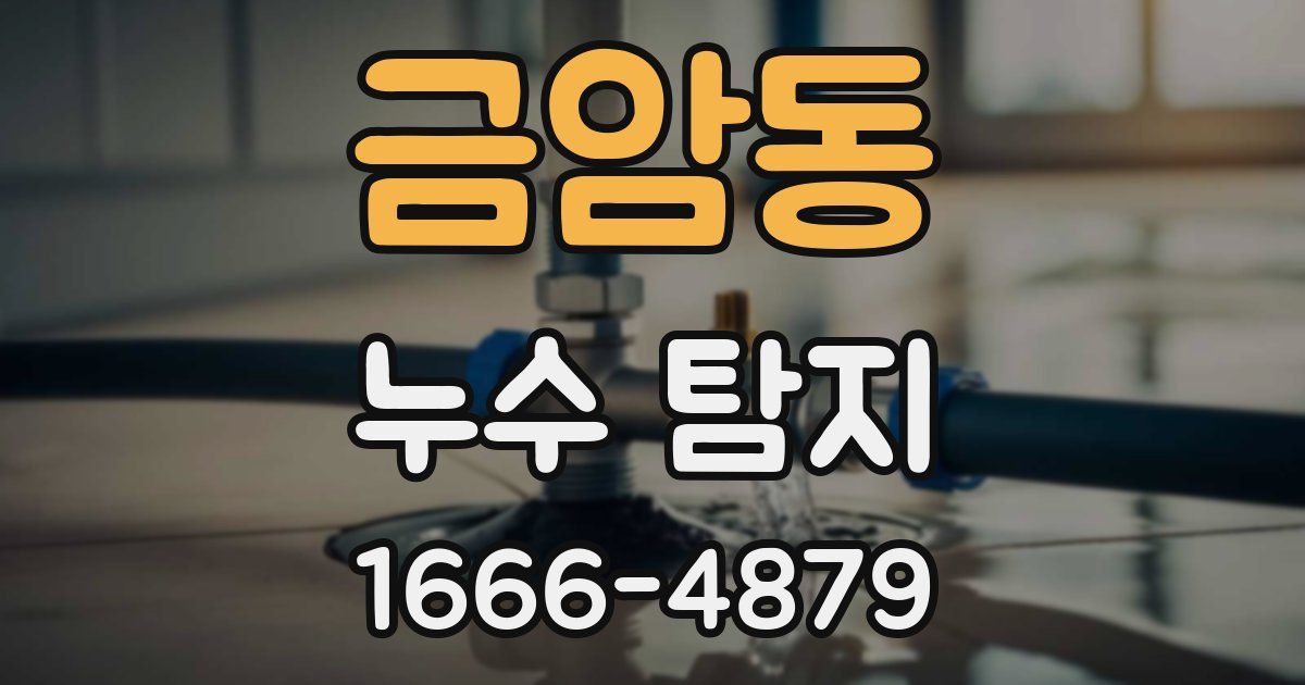 금암동 누수 탐지