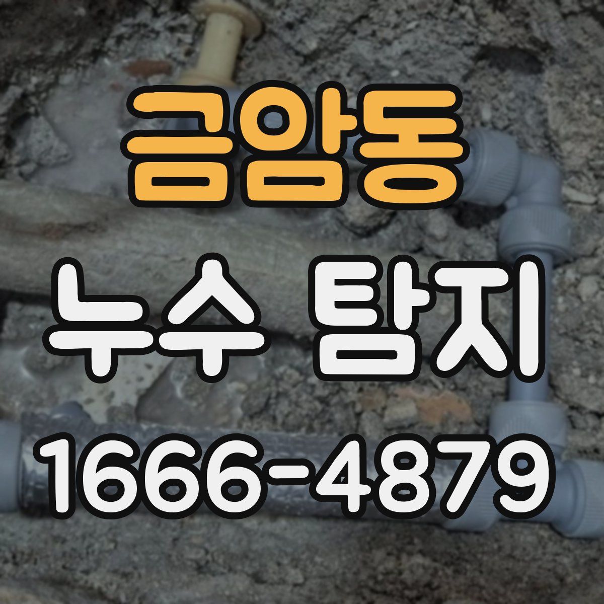 금암동 누수 탐지