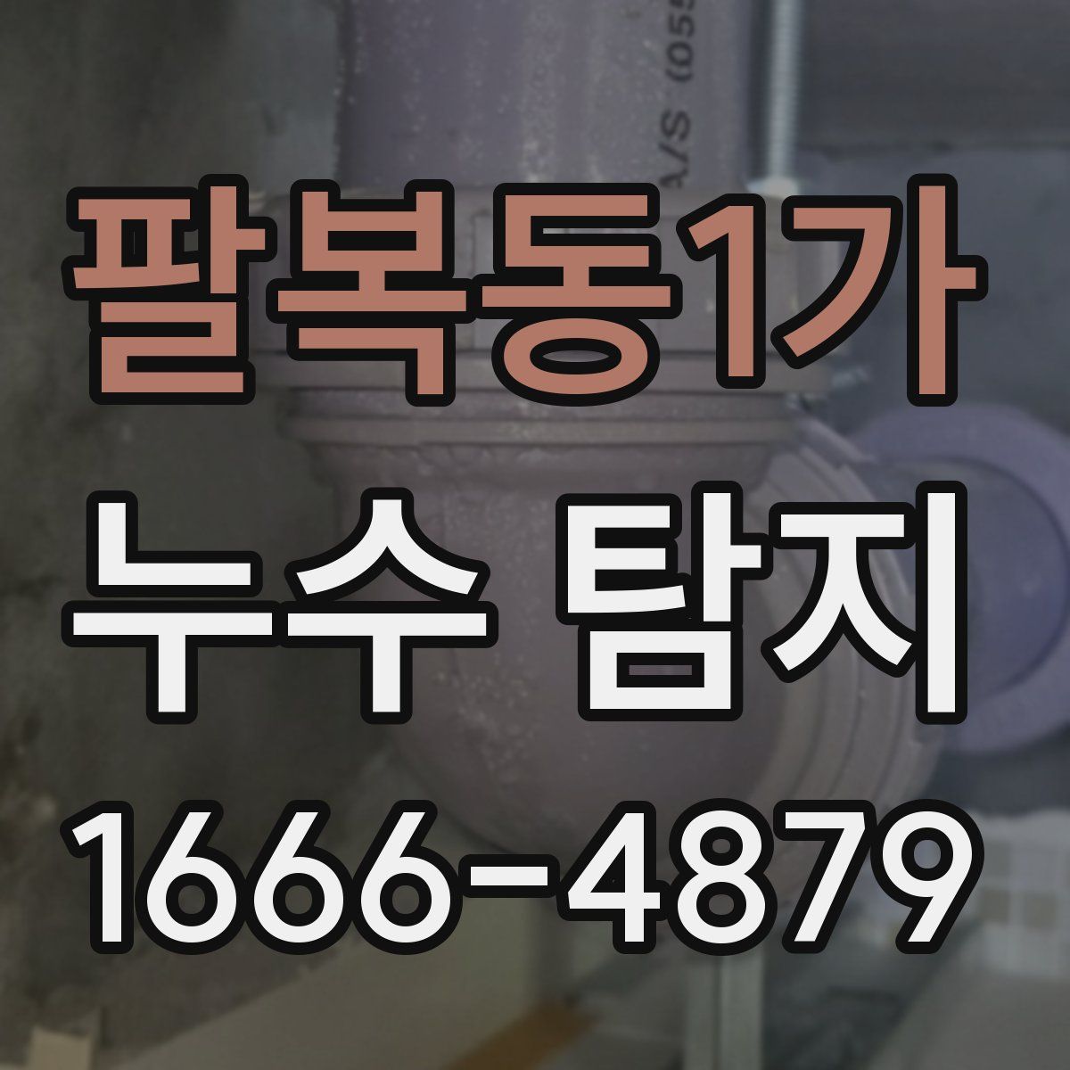 팔복동1가 누수 탐지