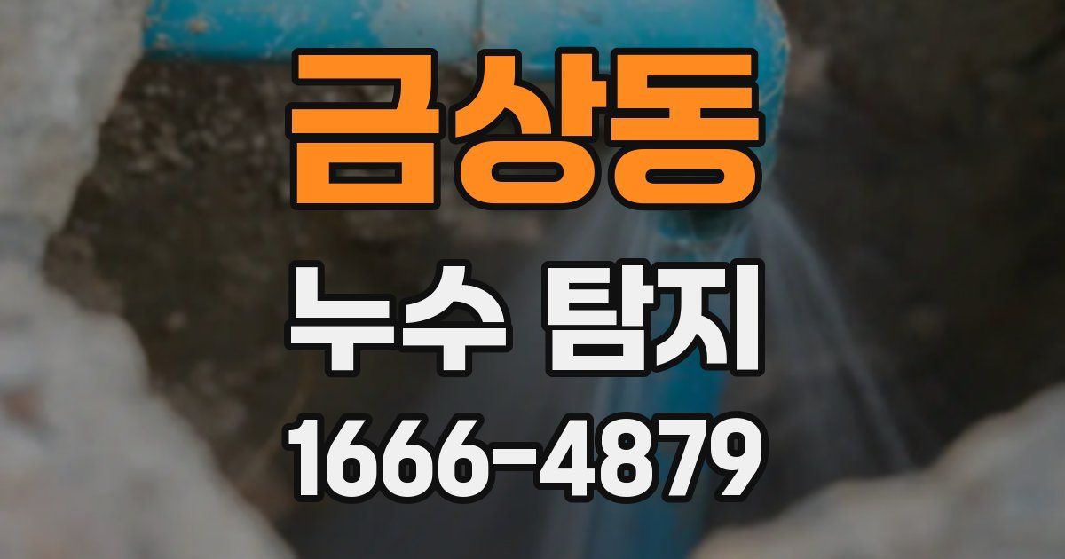 금상동 누수 탐지