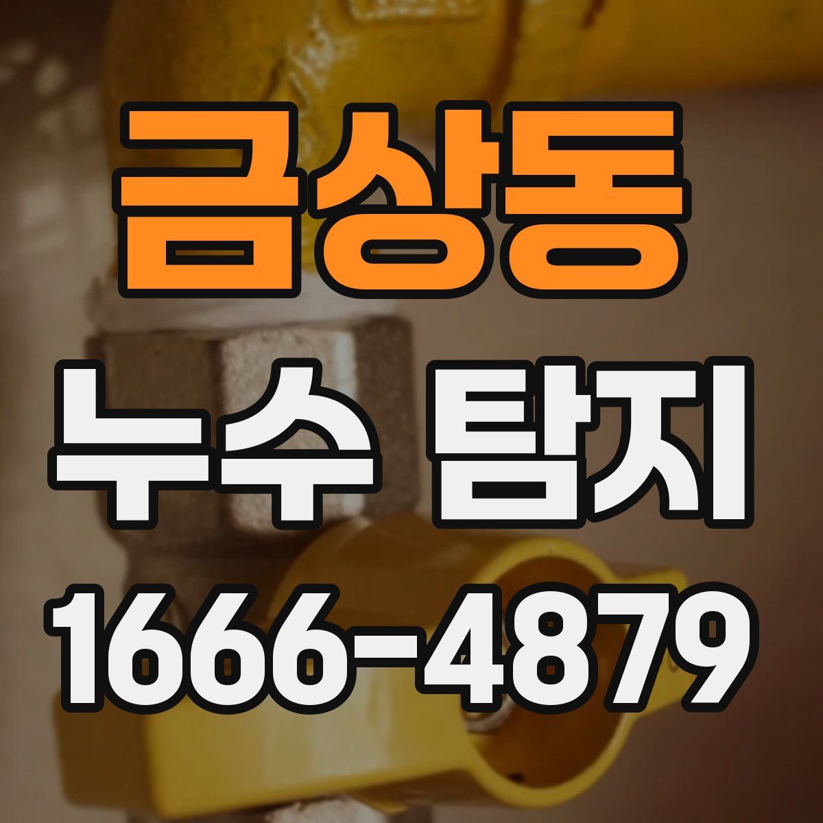 금상동 누수 탐지