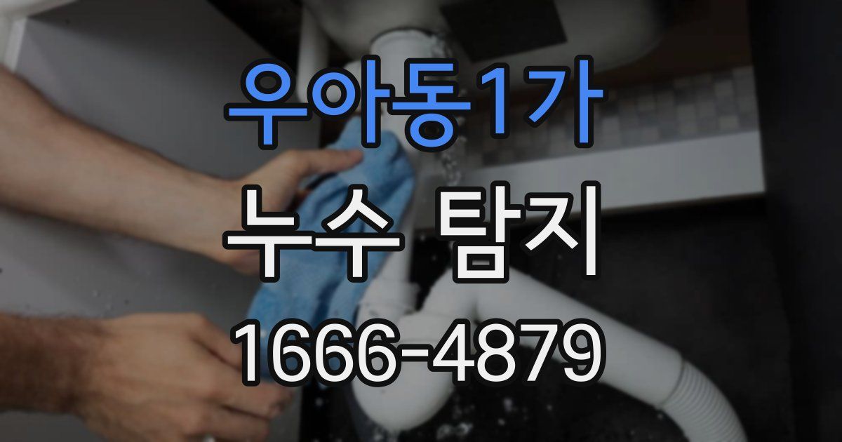 우아동1가 누수 탐지