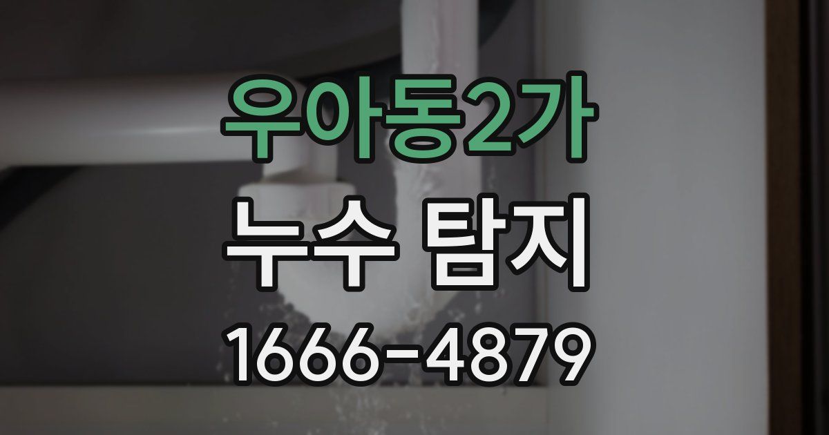 우아동2가 누수 탐지