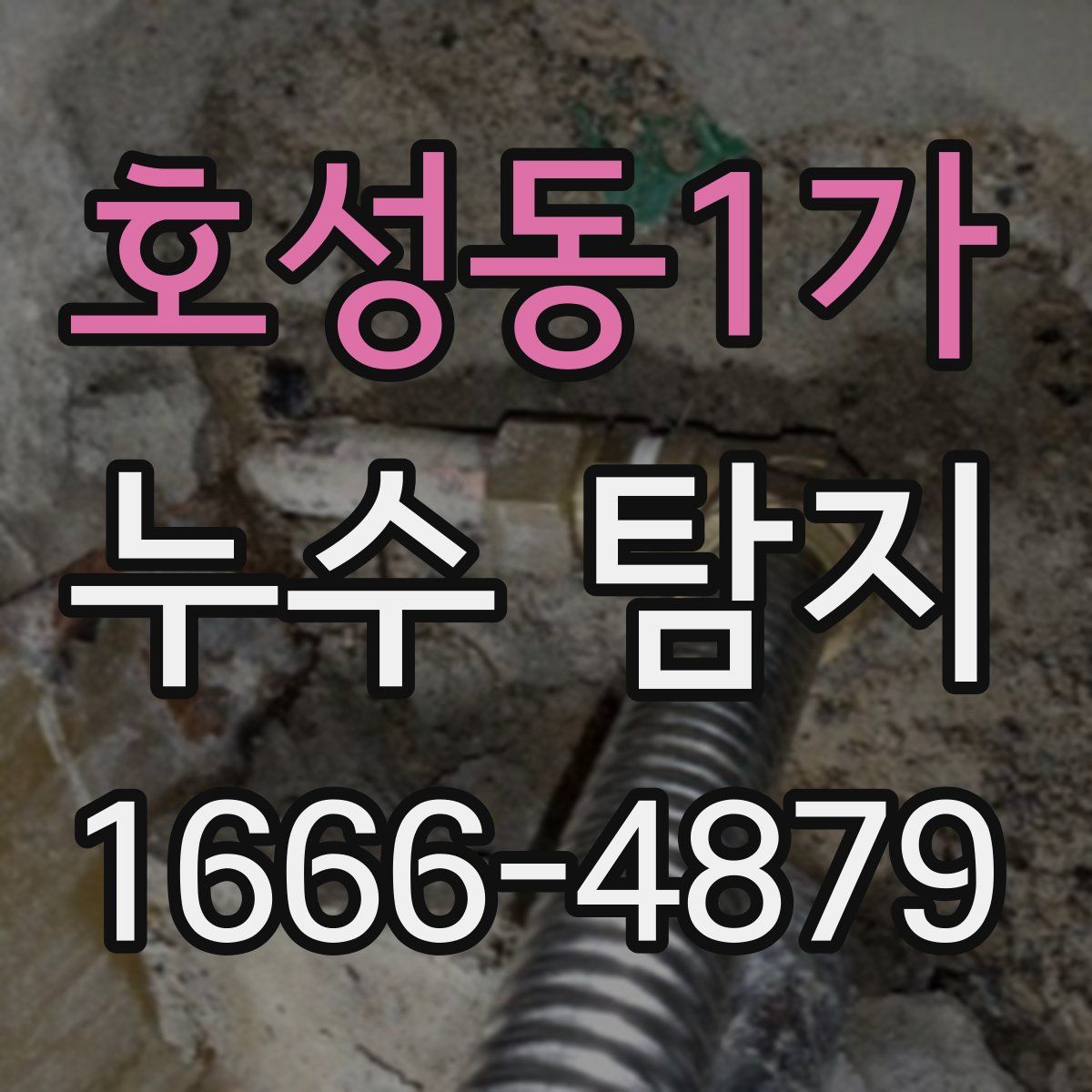 호성동1가 누수 탐지