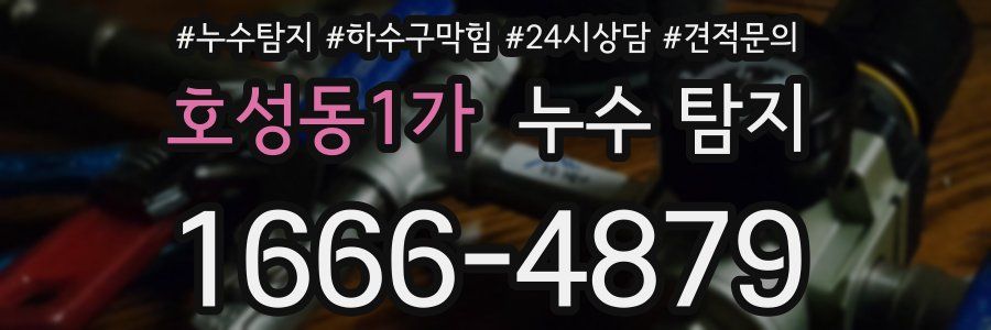 호성동1가 누수 탐지