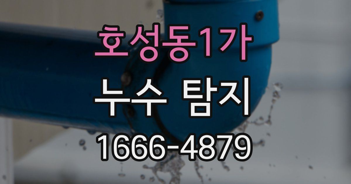 호성동1가 누수 탐지