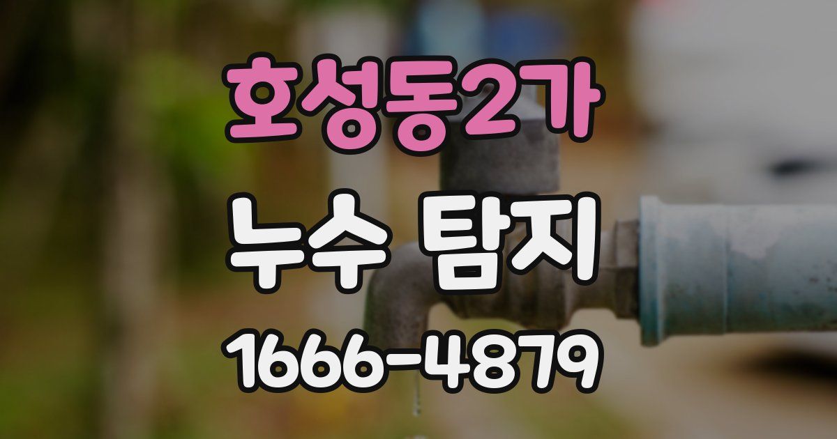 호성동2가 누수 탐지