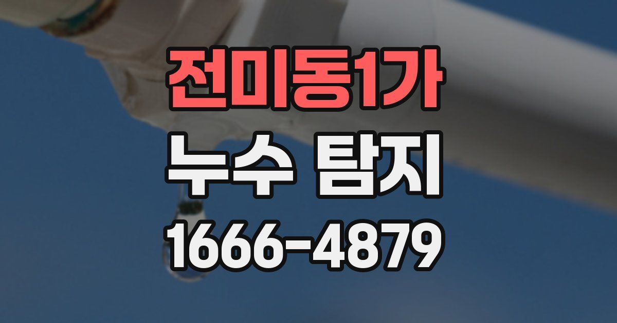 전미동1가 누수 탐지