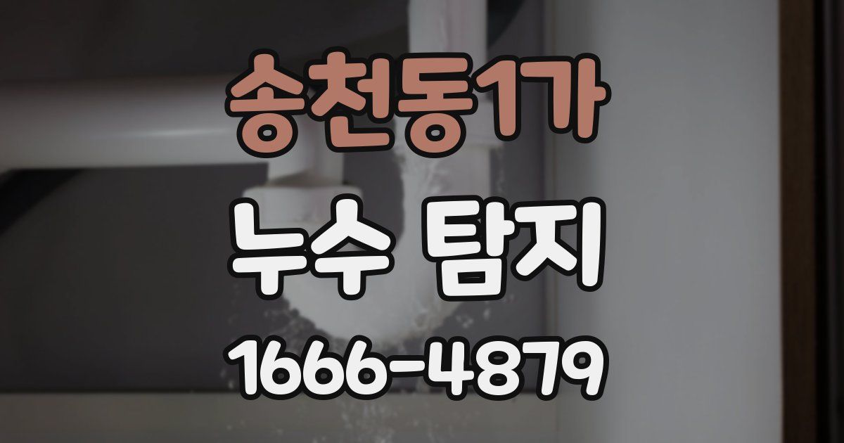 송천동1가 누수 탐지