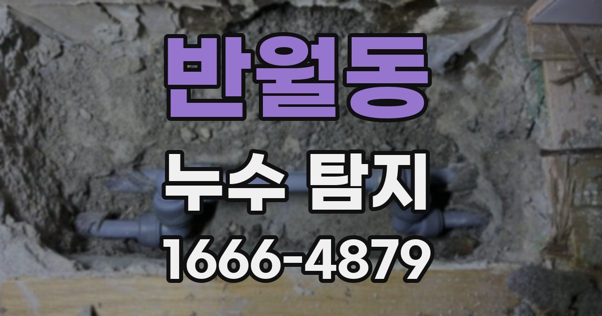 반월동 누수 탐지