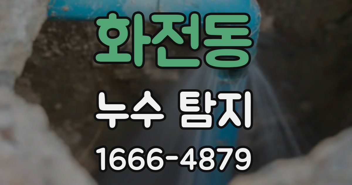 화전동 누수 탐지