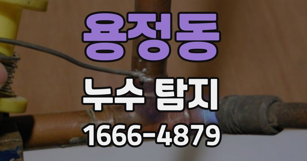 용정동 누수 탐지