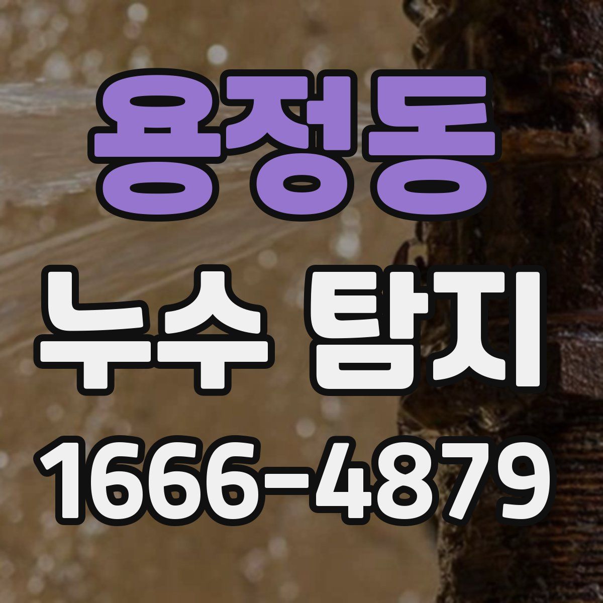 용정동 누수 탐지
