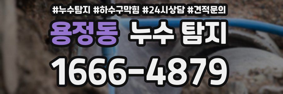용정동 누수 탐지