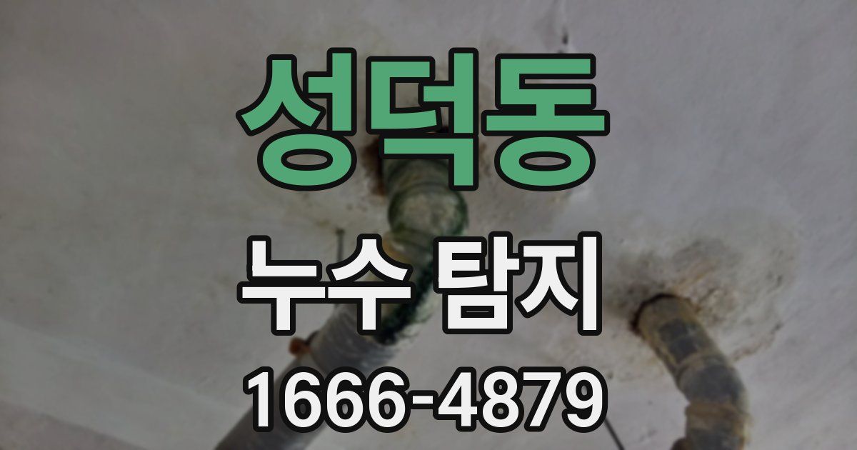 성덕동 누수 탐지