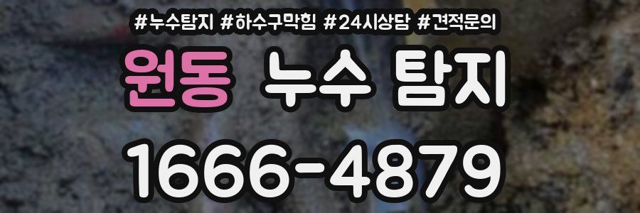 원동 누수 탐지