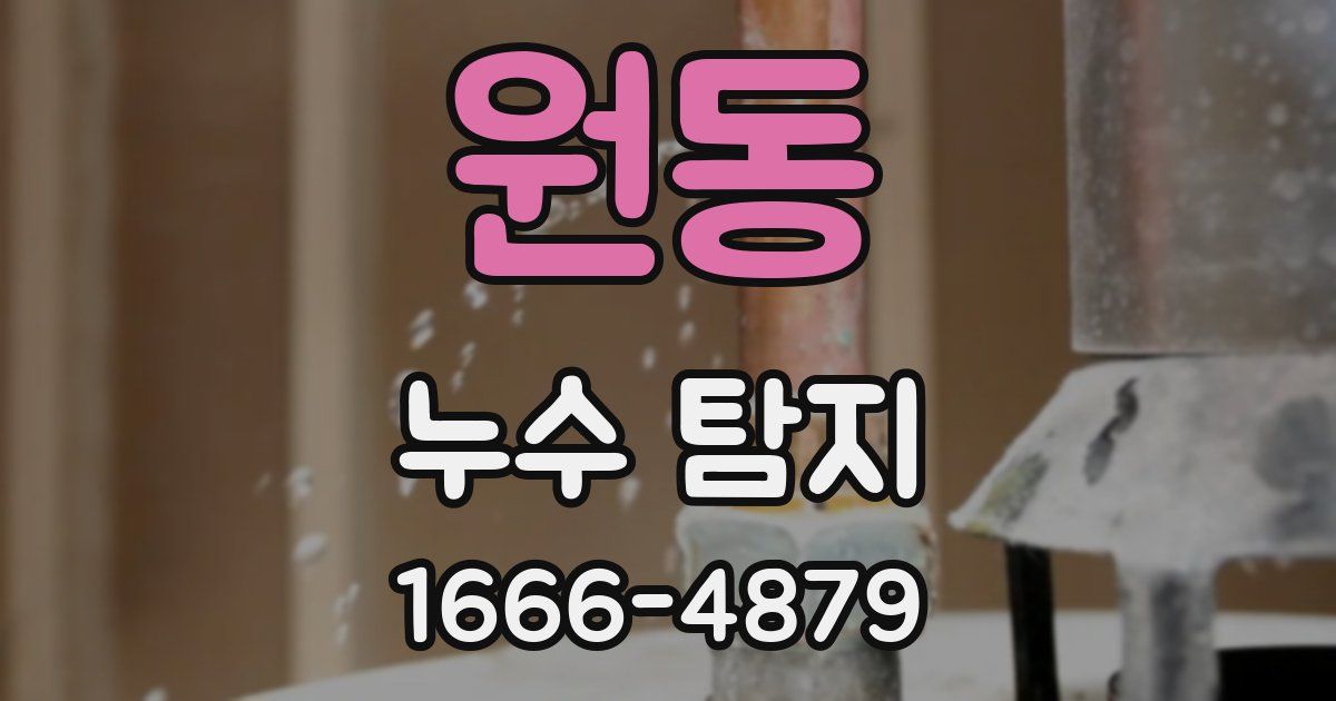 원동 누수 탐지
