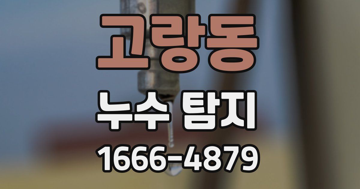 고랑동 누수 탐지