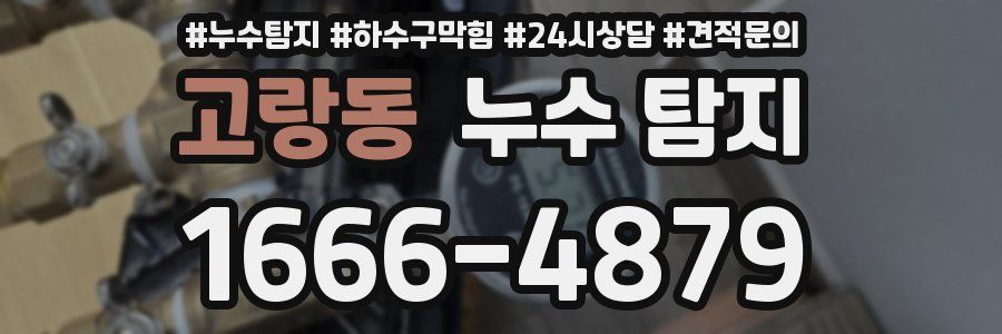 고랑동 누수 탐지