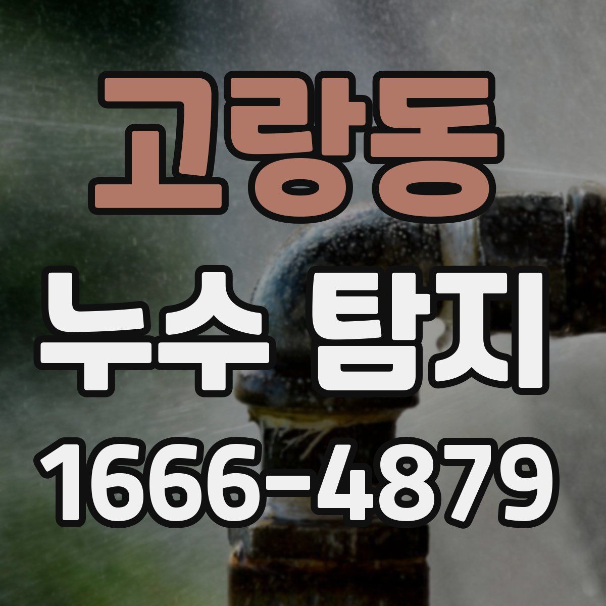 고랑동 누수 탐지