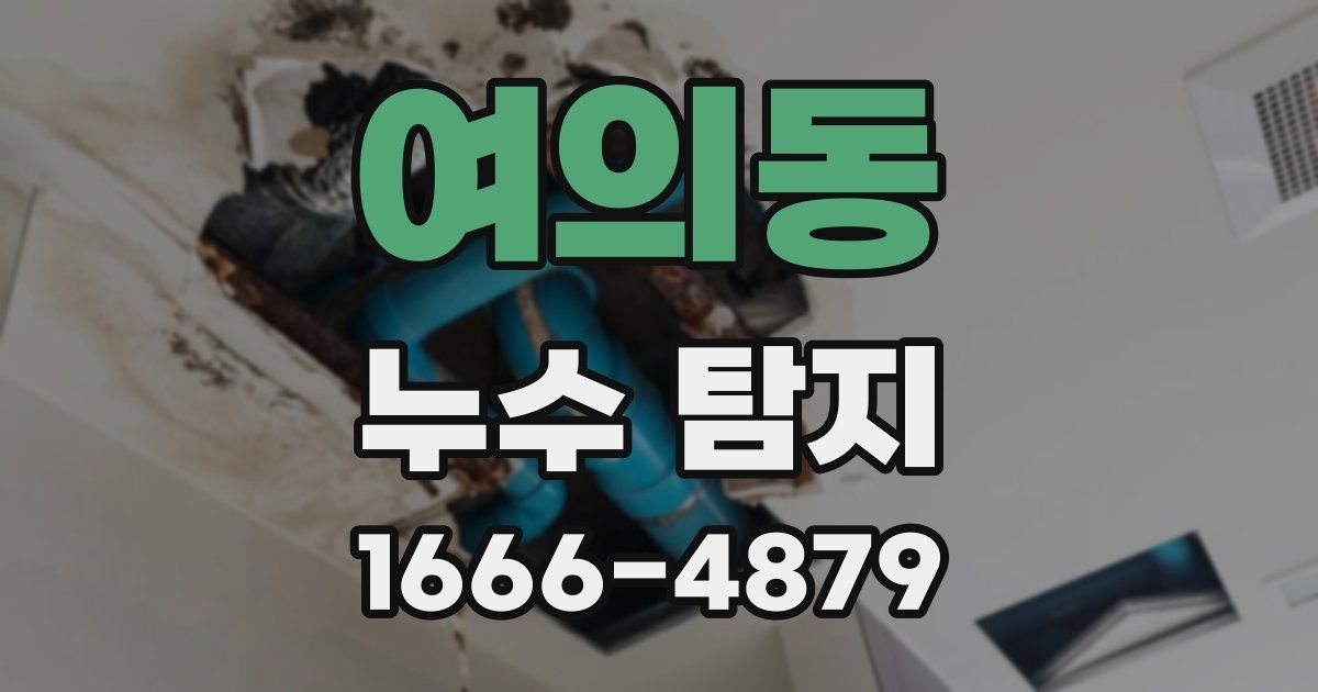 여의동 누수 탐지