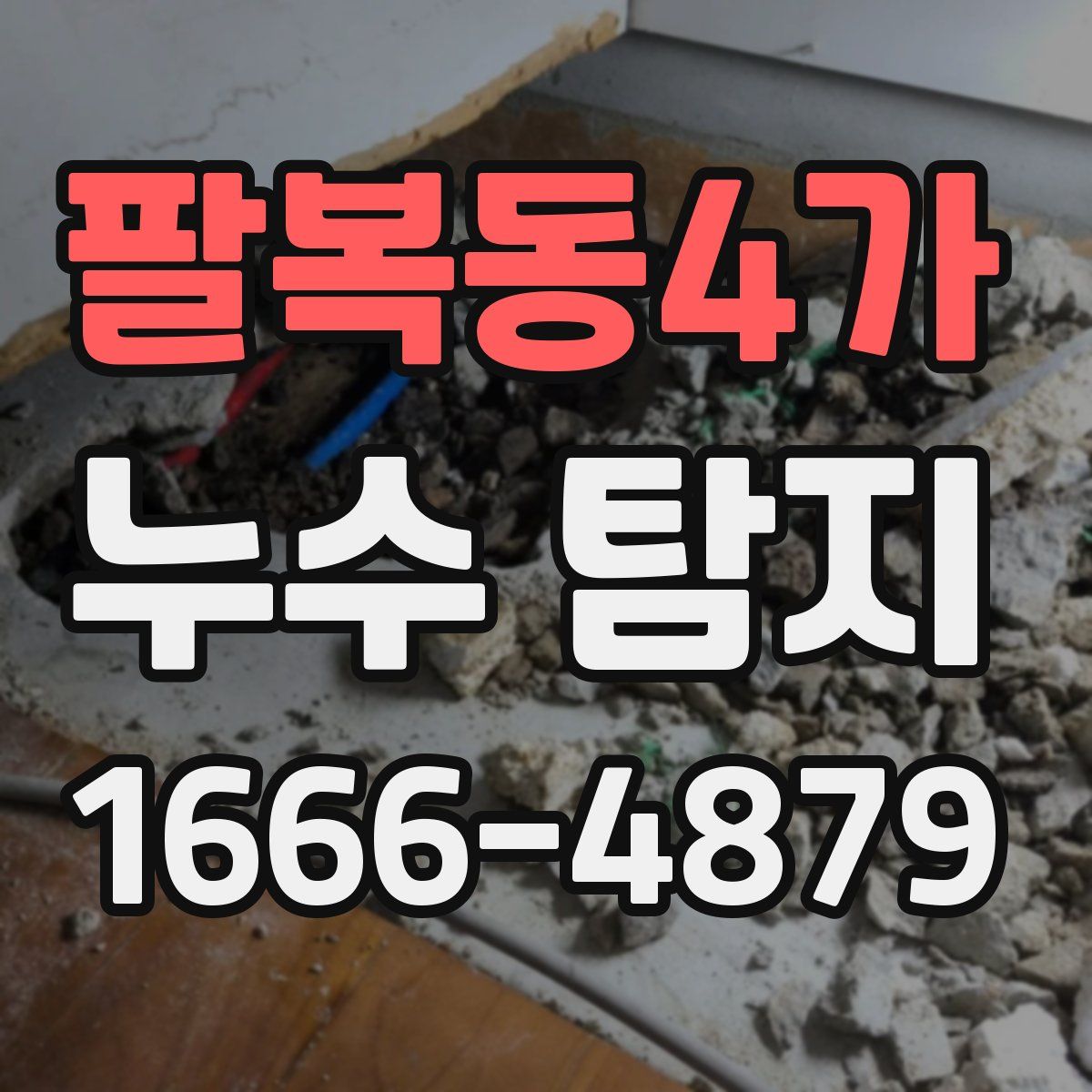 팔복동4가 누수 탐지