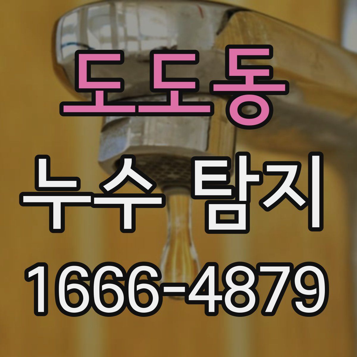 도도동 누수 탐지