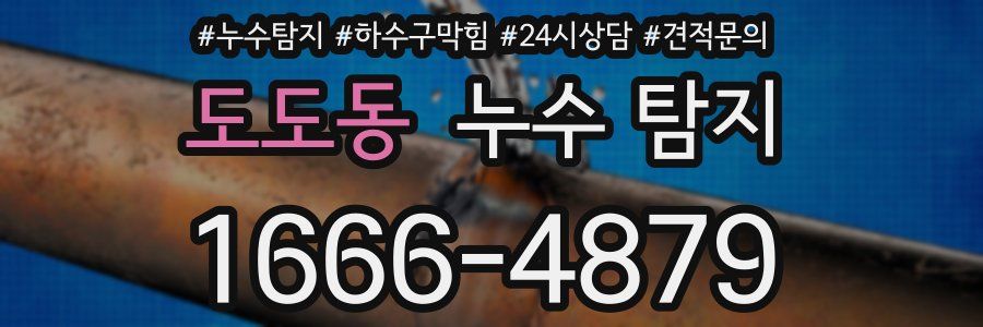 도도동 누수 탐지