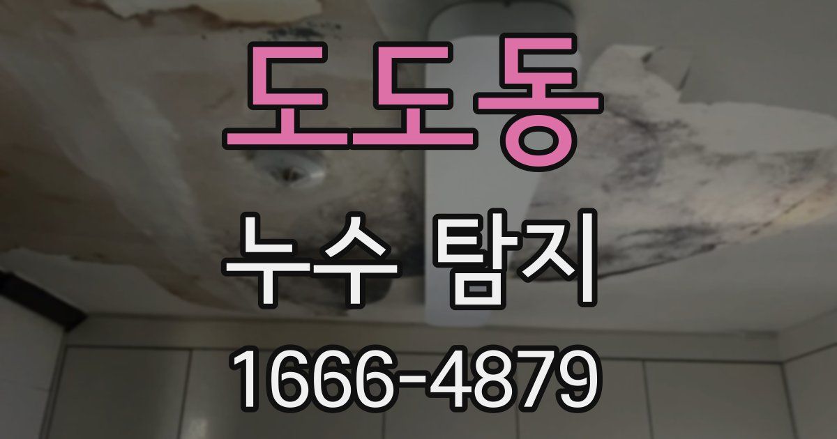 도도동 누수 탐지