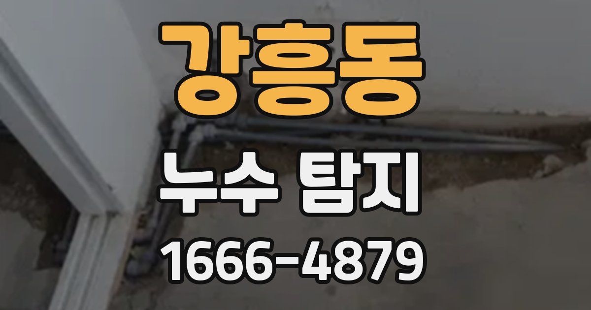 강흥동 누수 탐지