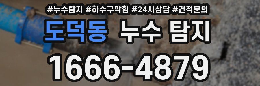 도덕동 누수 탐지