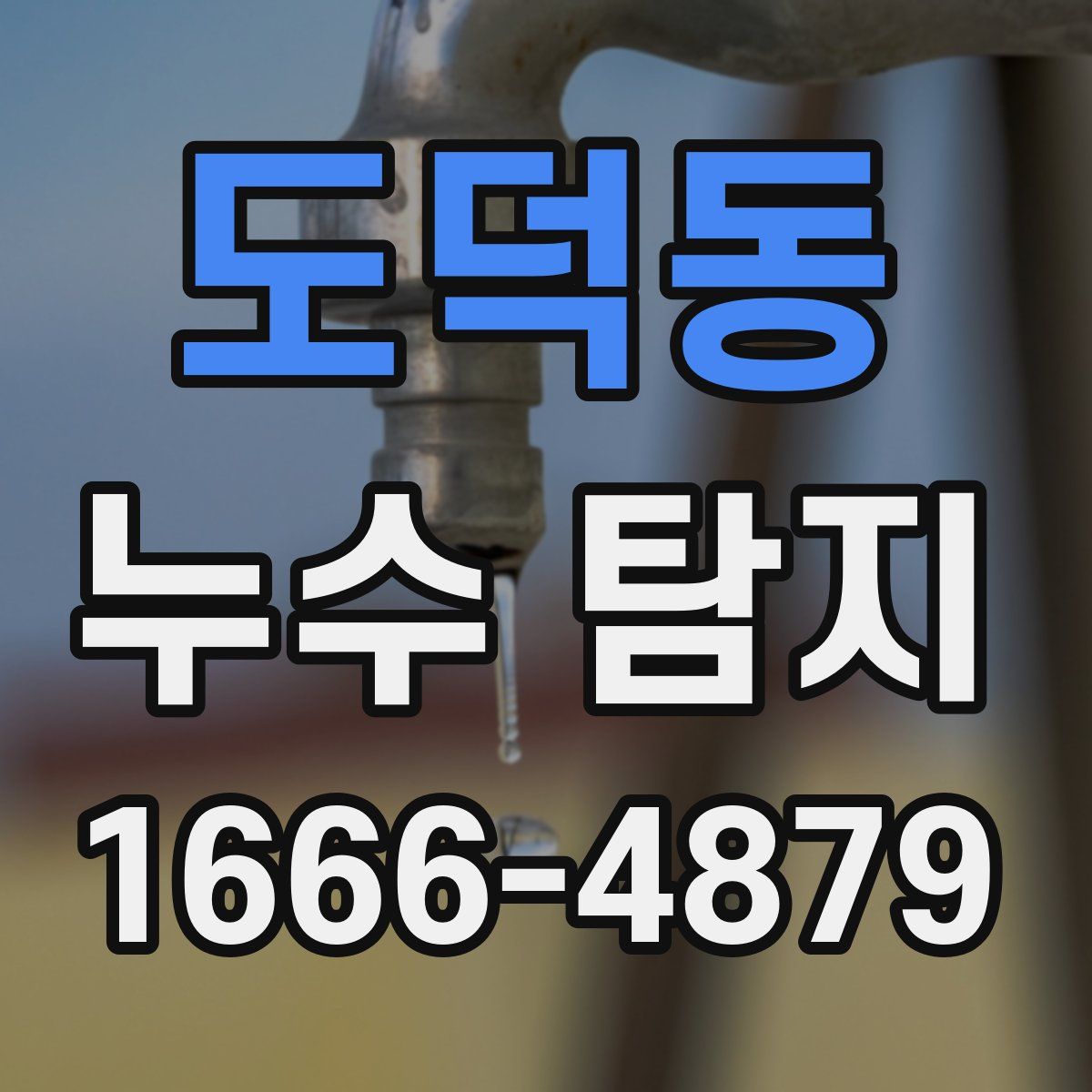 도덕동 누수 탐지