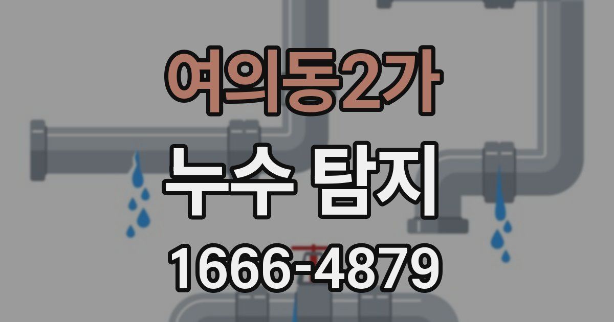 여의동2가 누수 탐지