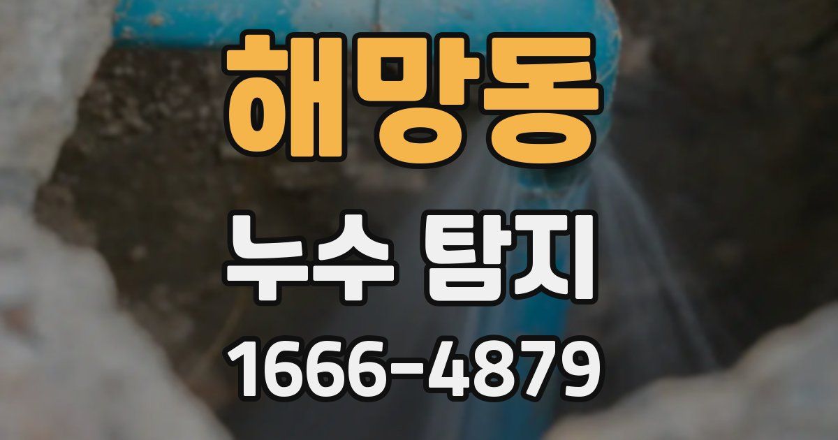 해망동 누수 탐지