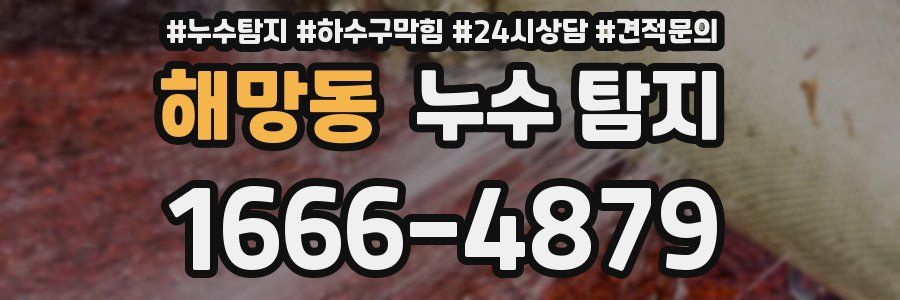 해망동 누수 탐지