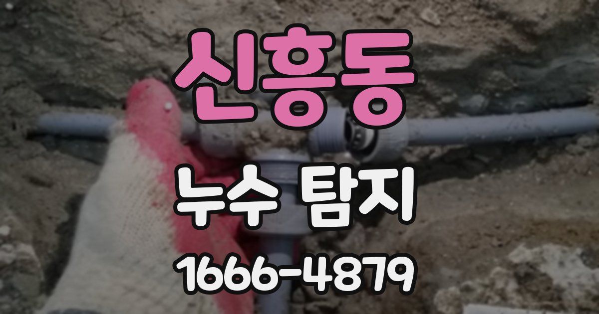 신흥동 누수 탐지