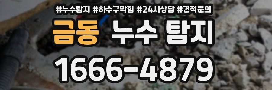금동 누수 탐지