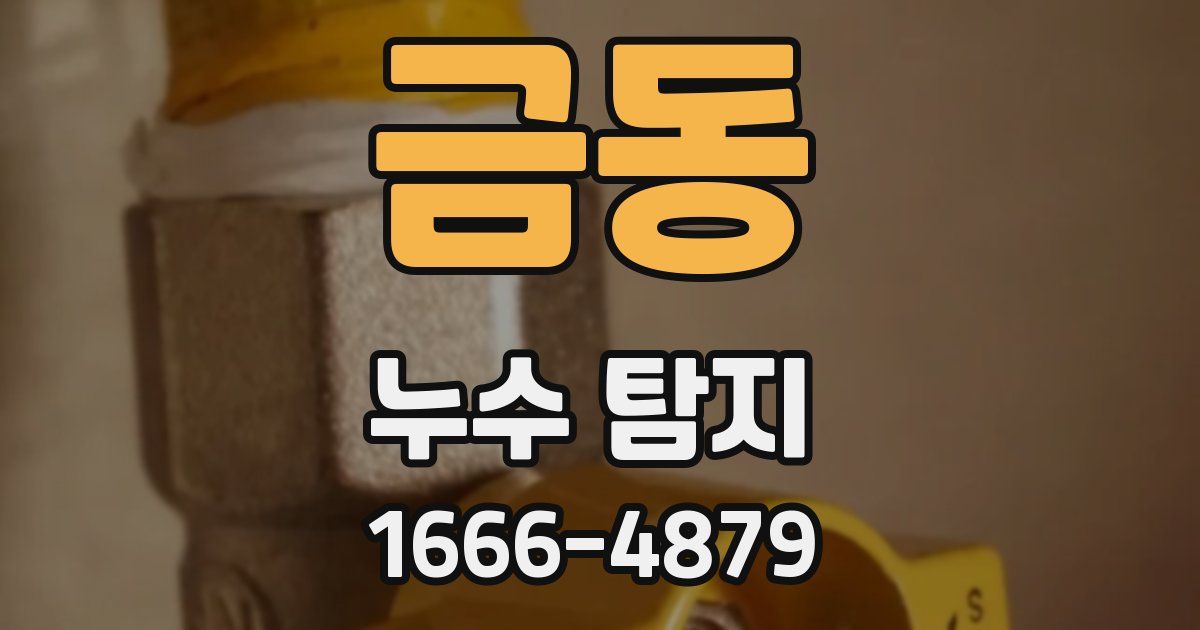 금동 누수 탐지