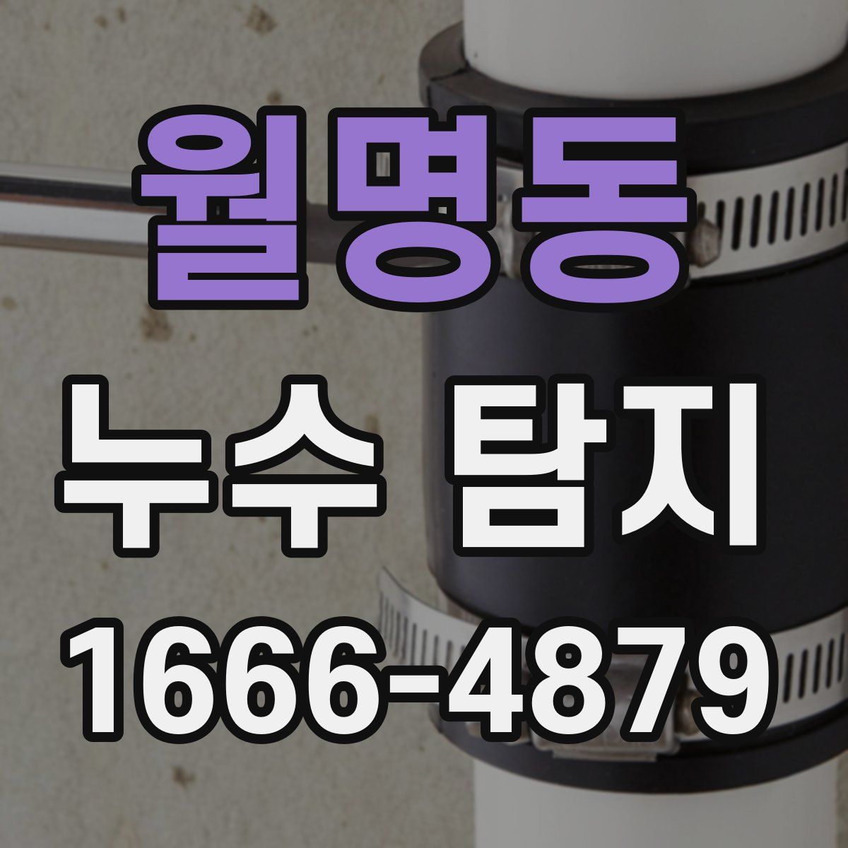 월명동 누수 탐지