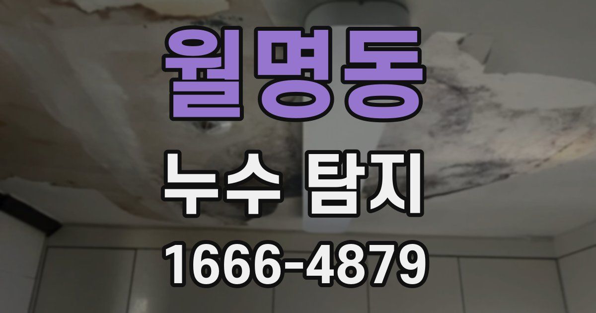 월명동 누수 탐지
