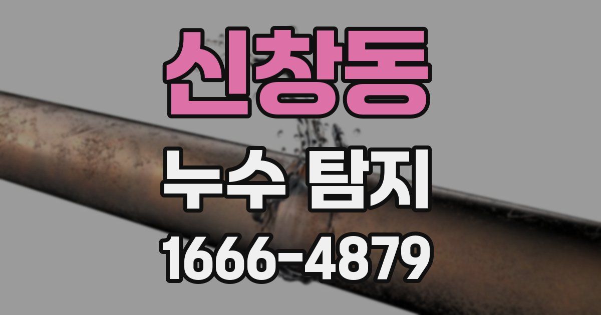 신창동 누수 탐지