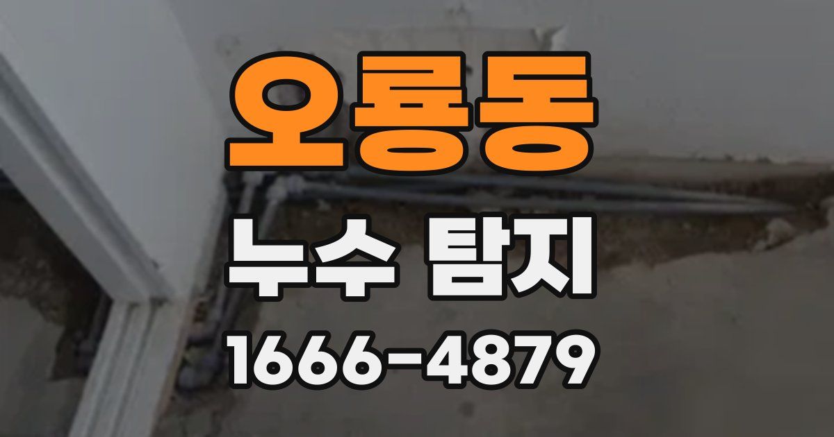 오룡동 누수 탐지