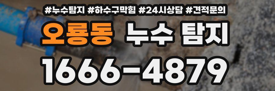 오룡동 누수 탐지