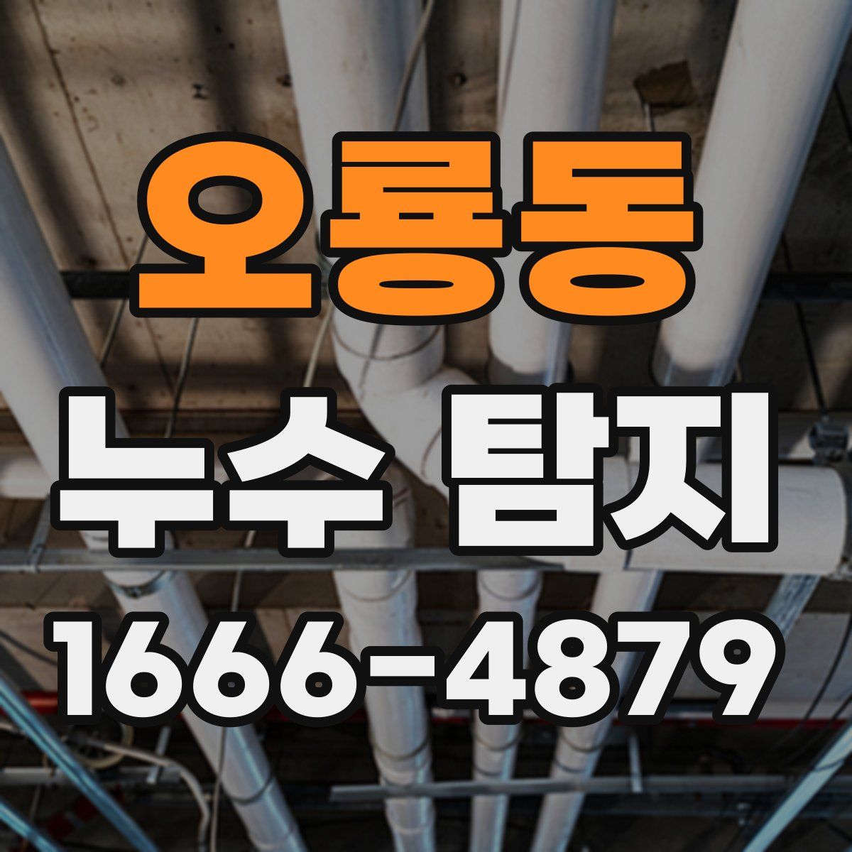 오룡동 누수 탐지