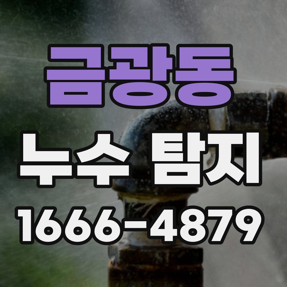 금광동 누수 탐지