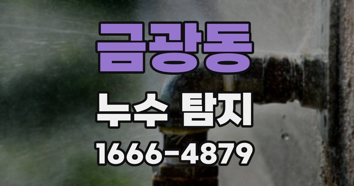금광동 누수 탐지