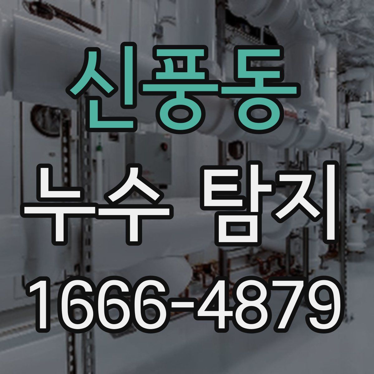 신풍동 누수 탐지