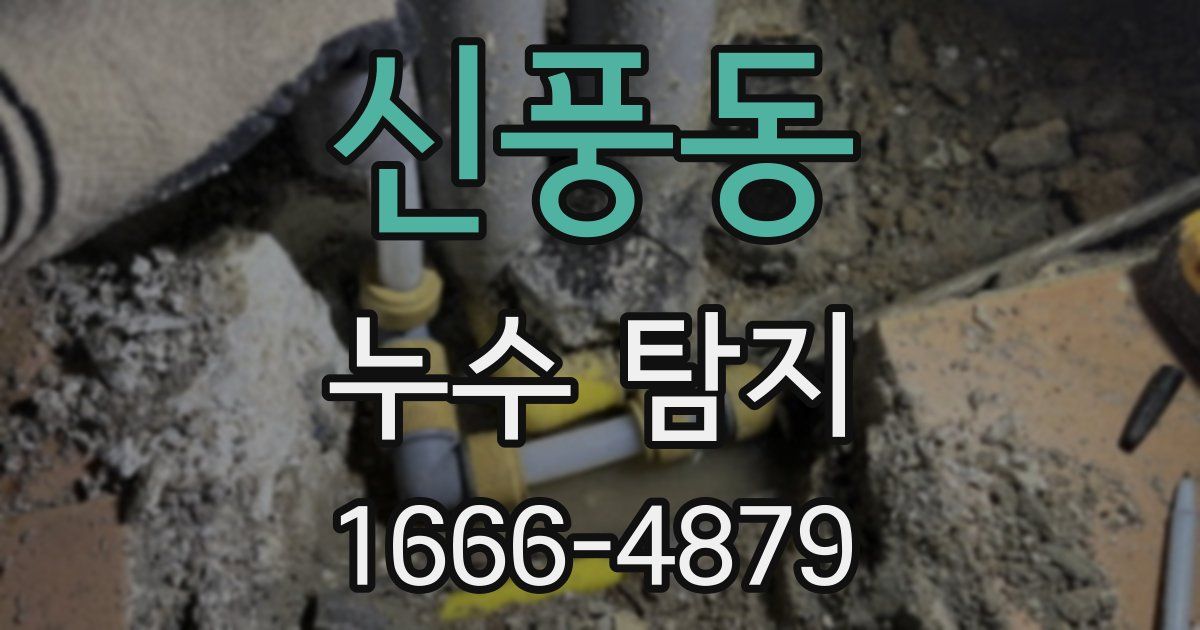 신풍동 누수 탐지