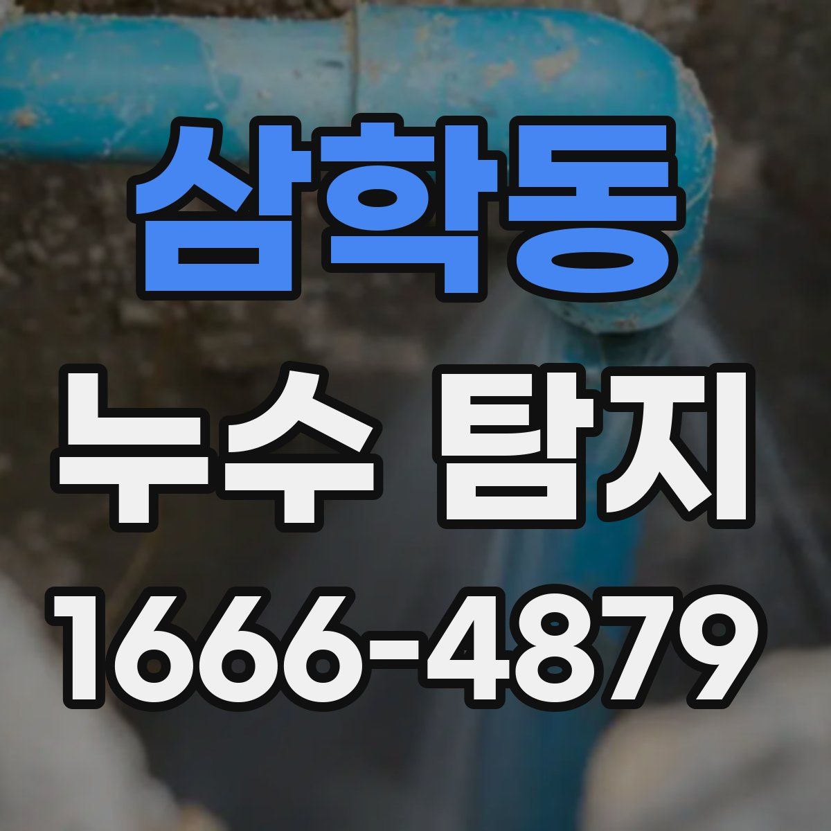 삼학동 누수 탐지